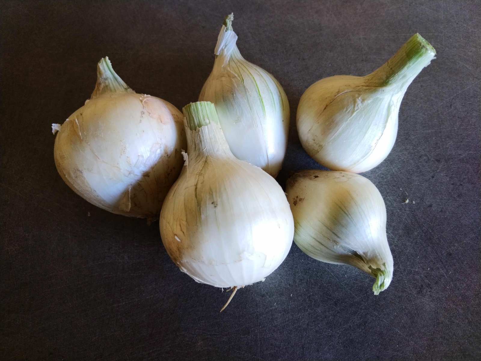 LEGUME - Oignon blanc - 500gr 
